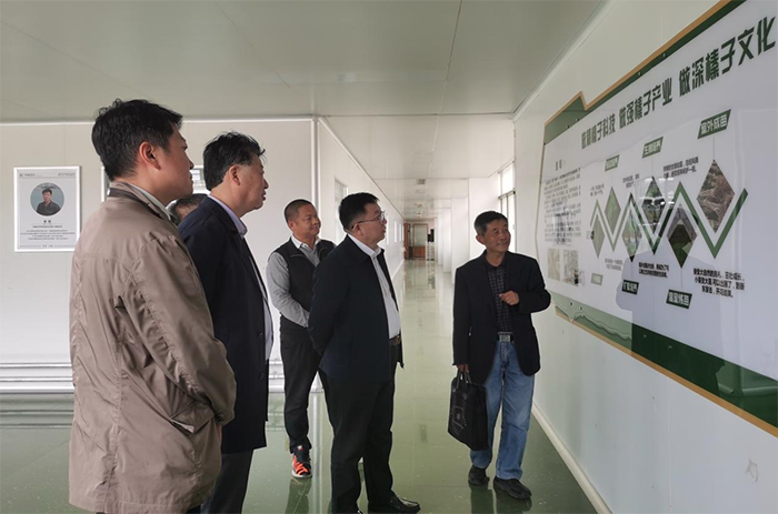 1684305417171660.png 1684305346710383.png