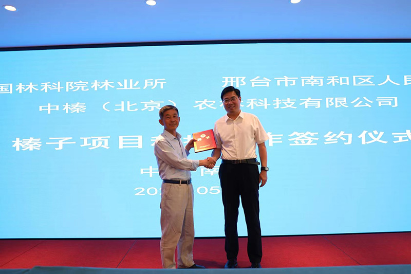 1685190307975618.jpg 52.jpg