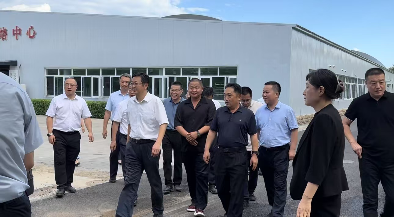 1735025719695317.jpg 94dd31c01383df78803a98ecdb5bbfe.jpg