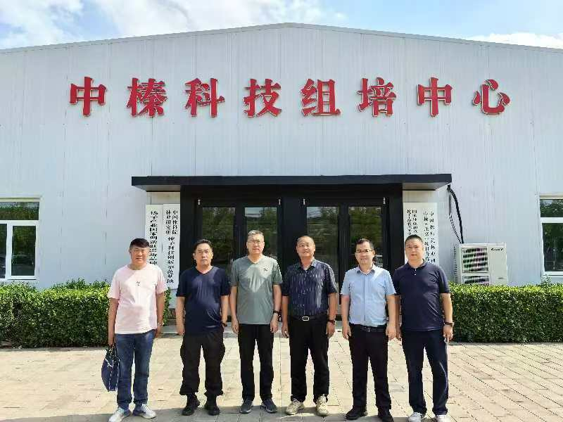 1735026627460978.png 圖片1.png