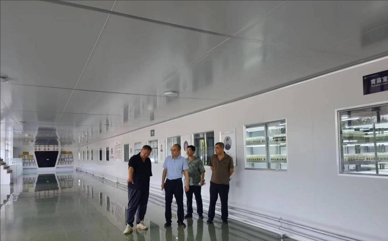 1735047705819344.png 圖片1.png