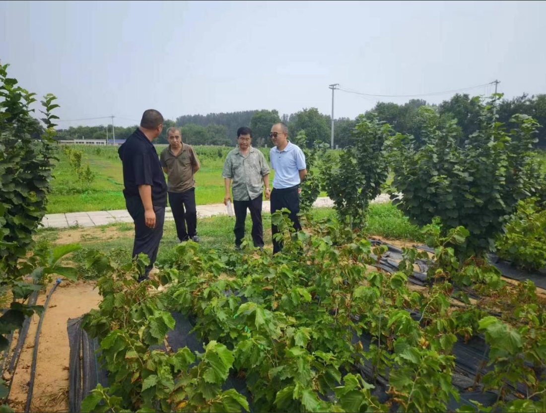 1735047755925810.png 圖片2.png